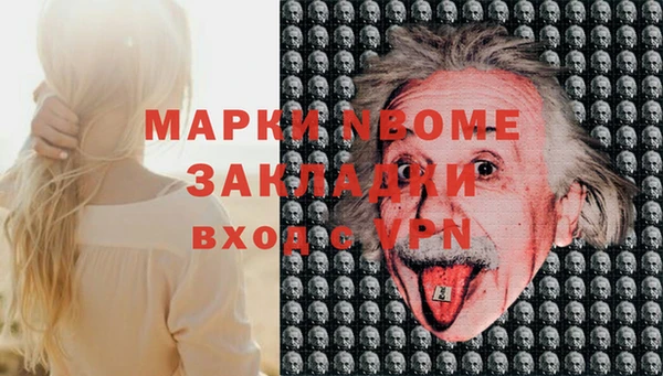 ECSTASY Богородицк