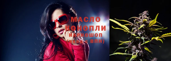 ECSTASY Богородицк