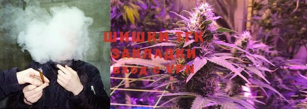 ECSTASY Богородицк